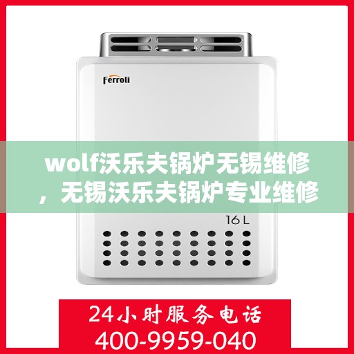 wolf沃乐夫锅炉无锡维修，无锡沃乐夫锅炉专业维修服务