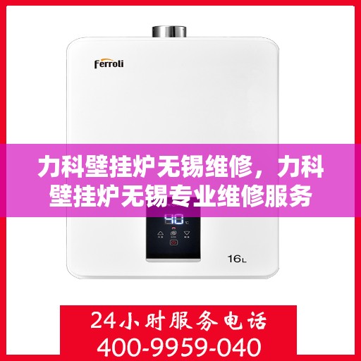 力科壁挂炉无锡维修，力科壁挂炉无锡专业维修服务