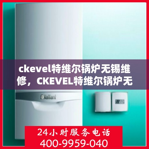 ckevel特维尔锅炉无锡维修，CKEVEL特维尔锅炉无锡专业维修服务