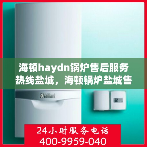 海顿haydn锅炉售后服务热线盐城，海顿锅炉盐城售后服务热线及专业维修支持
