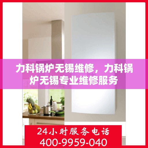 力科锅炉无锡维修，力科锅炉无锡专业维修服务