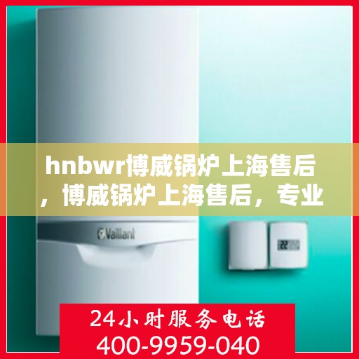 hnbwr博威锅炉上海售后，博威锅炉上海售后，专业服务的贴心之选