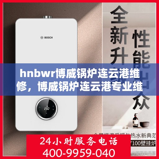hnbwr博威锅炉连云港维修，博威锅炉连云港专业维修服务团队