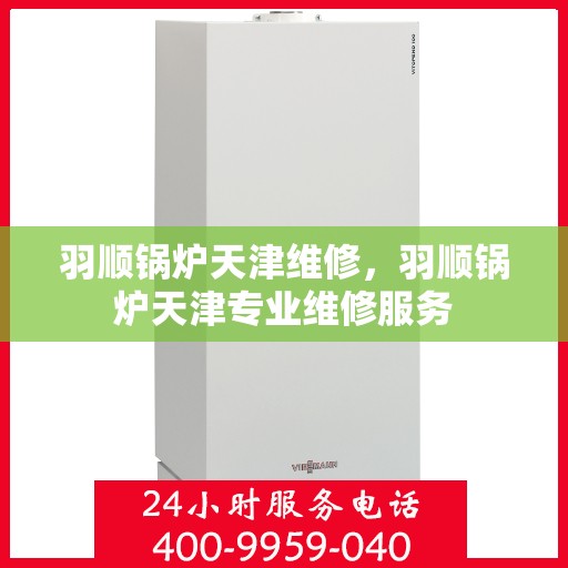 羽顺锅炉天津维修，羽顺锅炉天津专业维修服务